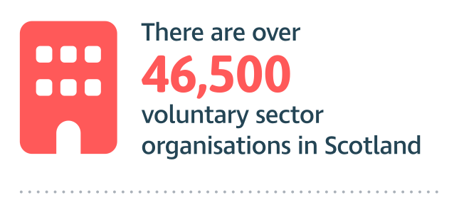 There are over 46,500 voluntary sector organisations in Scotland